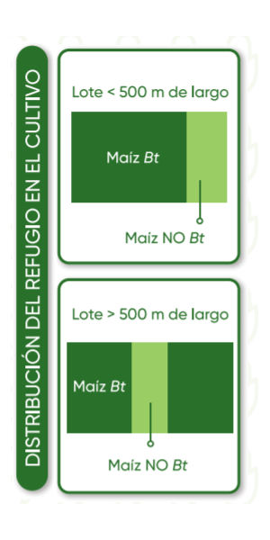 Distribucion del refugio de cultivo